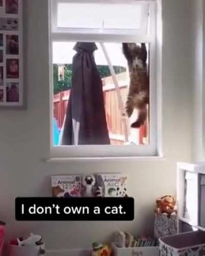 He finally got in.