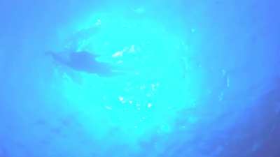Jaws (1974), PG, Susan Backlinie (boobs, bush, and ass, all obscured but somewhat visible)