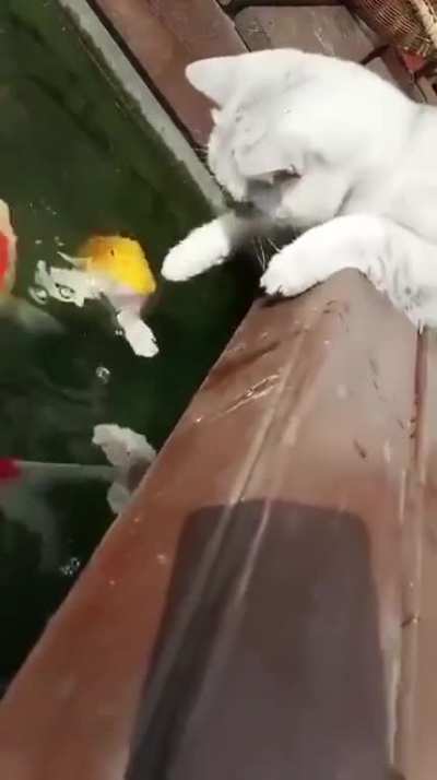 The most adorable kind of curiosity