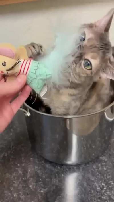 He will be soup!