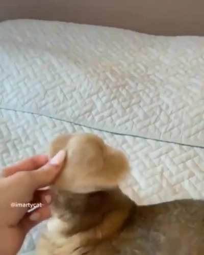 The fur hat at the end made it