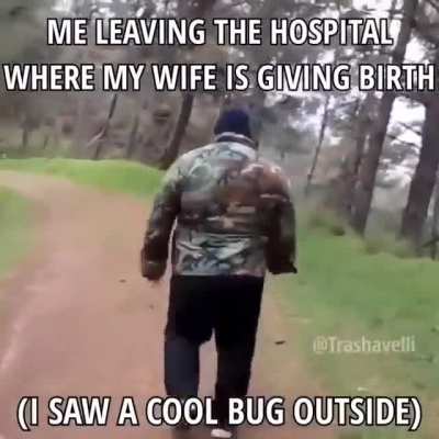 It was a leaf .