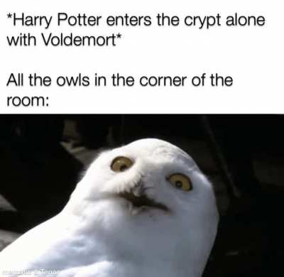 Oh dear