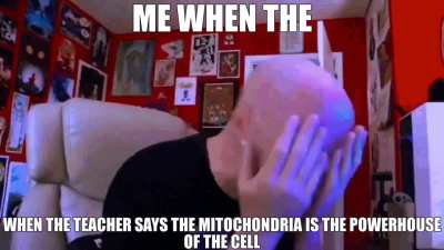 he said da thing!!!