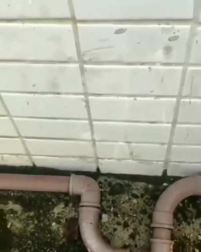 Working harder to avoid moving a brick.