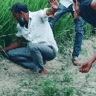 Cobra?, Rattlesnake??, Black Mamba???
