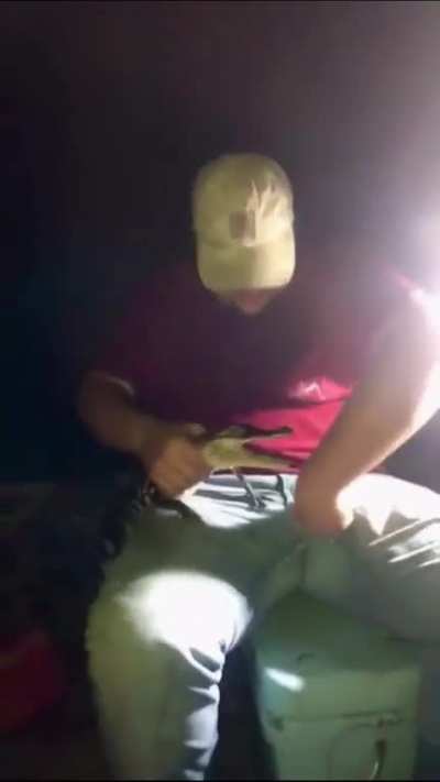 Alligator doing his best to improve the gene pool