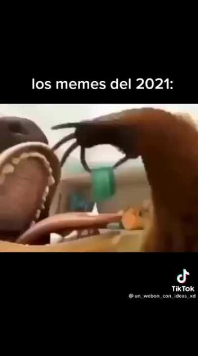 La neta si sierto xd