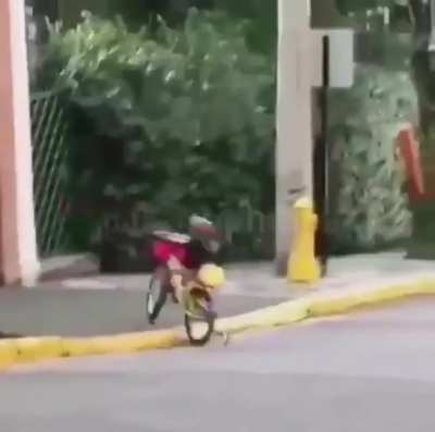 Simplemente bodoque