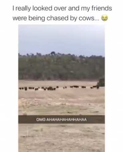 oh no