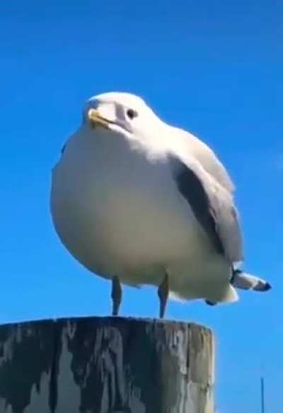 When you steps on a lego