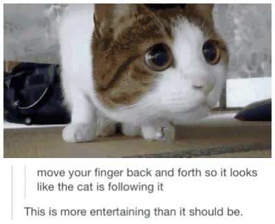 Rule