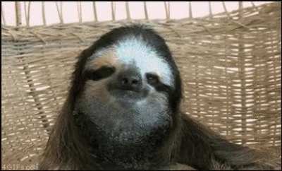 Just chillin..