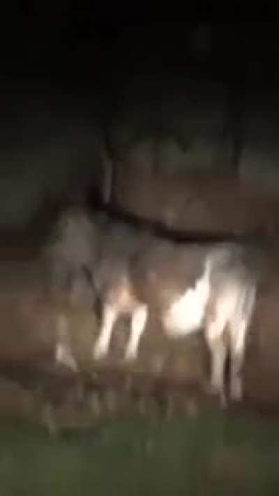 Insira aqui piada com fogareu gratis