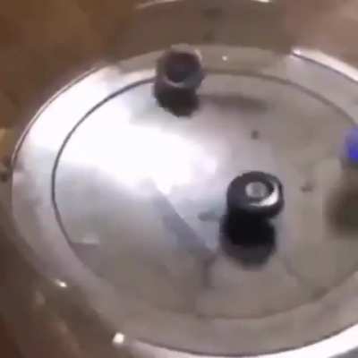 A true bayblade master