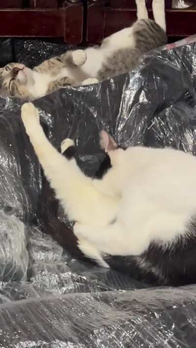 Salamat po sa naka-imbento ng bubble wrap.