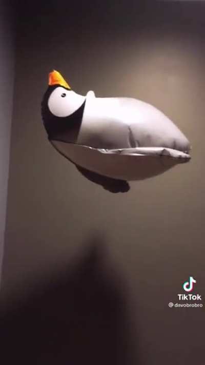 Pingu 𝘼 𝙎 𝘾 𝙀 𝙉 𝘿 𝙎