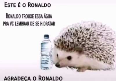 😎👌🏻