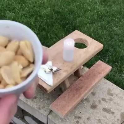 Table for one