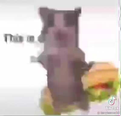 Borgor
