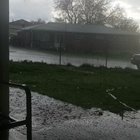 Suddenly started raining, with a little hail