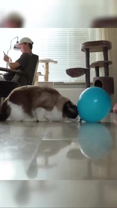 This belongs here