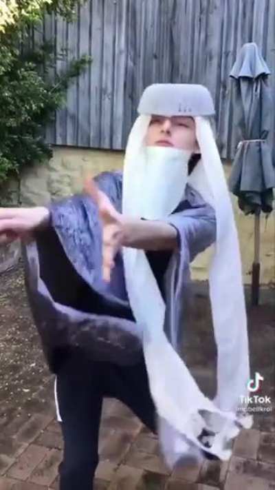 Dumbledore vs Voldemort- $2 budget edition