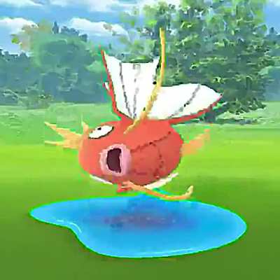 Makin' a Splash!