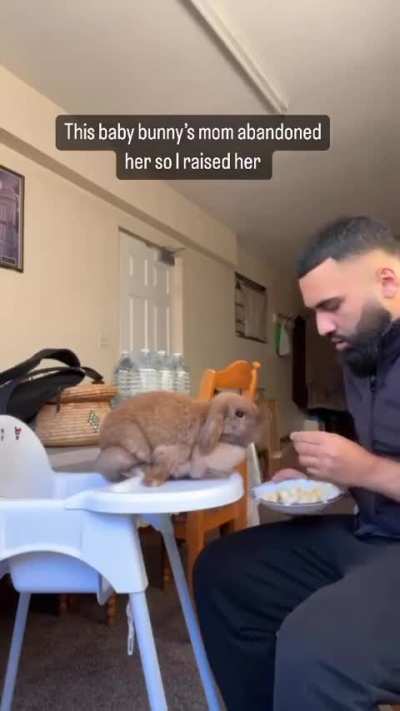 Raising an abandoned baby