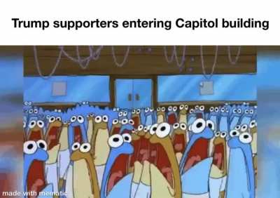 Democracy
