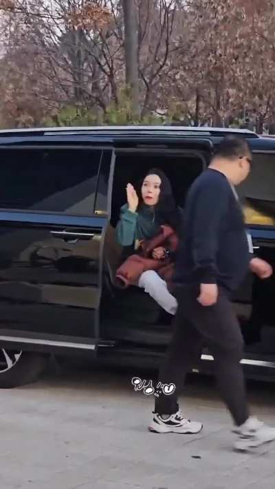 Solar with fans