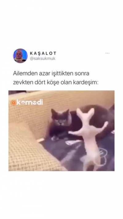Gece gece ne güldüm amk