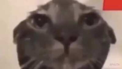 😶
