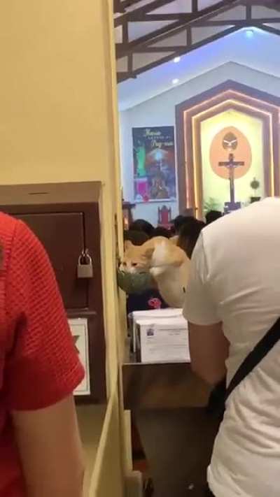 He is absolutely a 'Holy Cat'