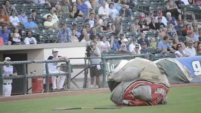 fish mascot eats worker, I really wonder how he undressed the man in that costume