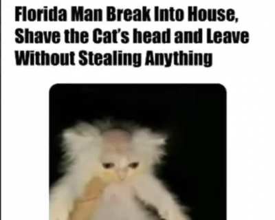 the Florida man did this cat dirty 😭😥😢