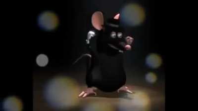 Rat