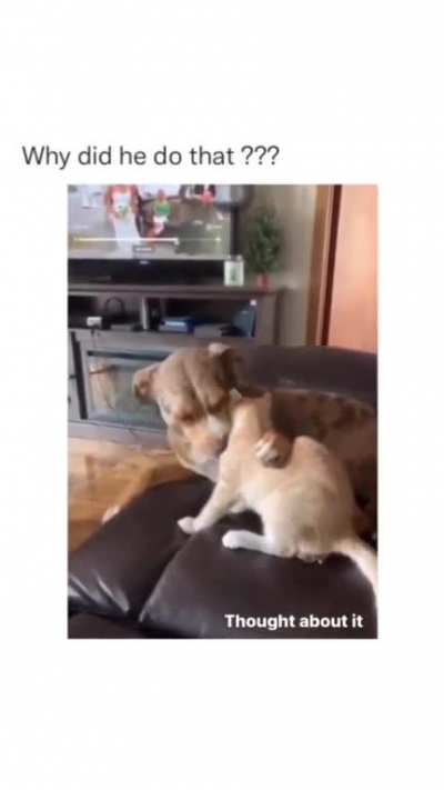 Lovebite