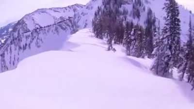 This is why you never go past the tree line.