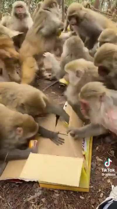 Giving some treats