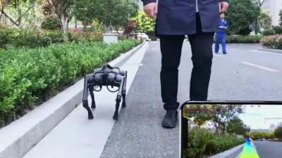 Robot goes out alone, you guessed the beginning, but didn't guess the end