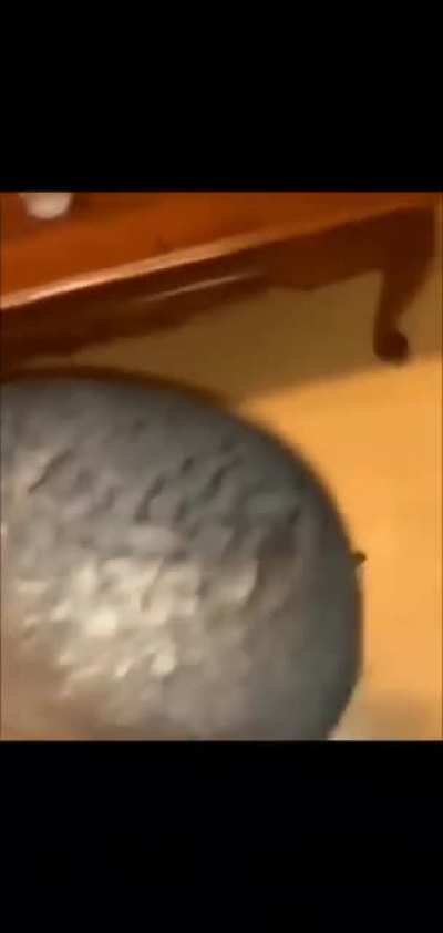 He messed up