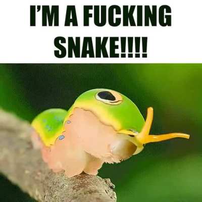 AHHHHH