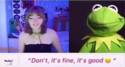 No Kermit!