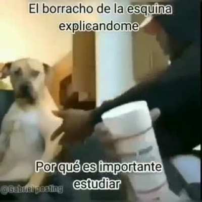 BeelcitosMemes - Video #2198