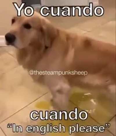 sorry miss