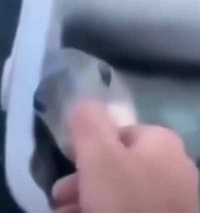 olA