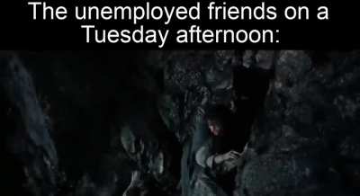 mf's are out on a quest