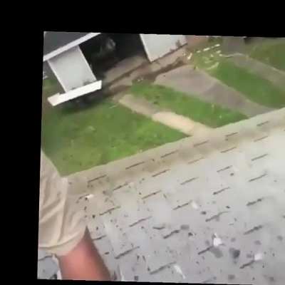 Natural Light for Natural Selection...he seems fine but after the semi splits he did on the roof he fell off of it!