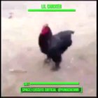 Fallout